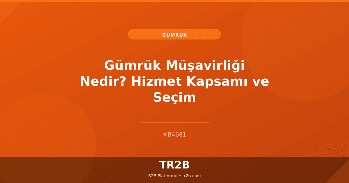 Gümrük Müşavirliği Nedir? Hizmet Kapsamı ve Seçim