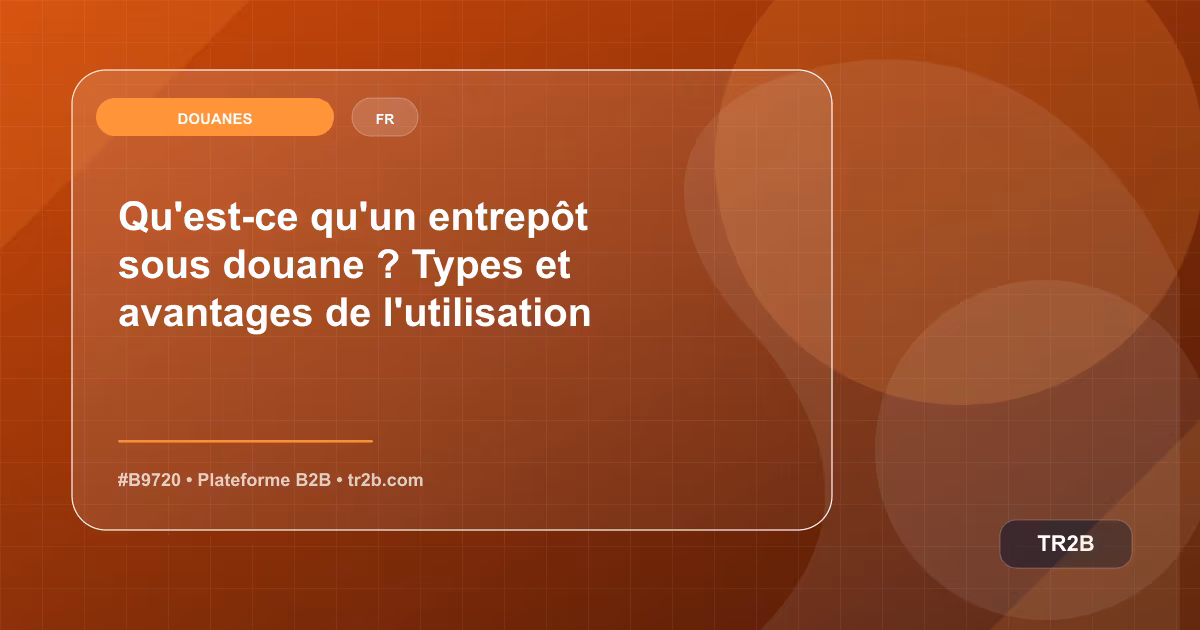 Qu'est-ce qu'un entrepôt sous douane ? Types et avantages de l'utilisation